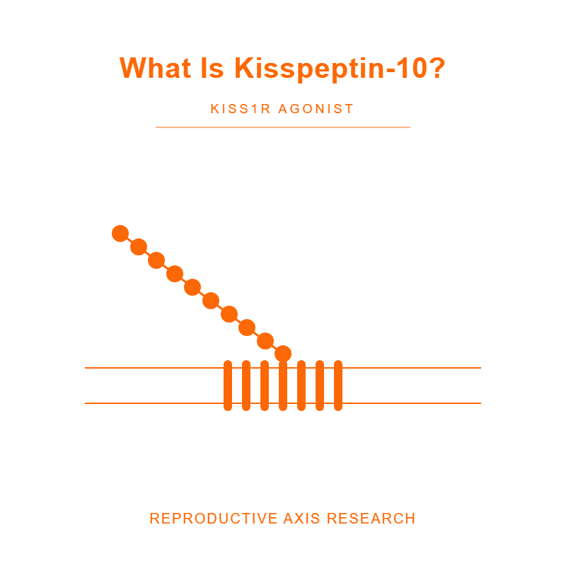 What Is Kisspeptin-10
